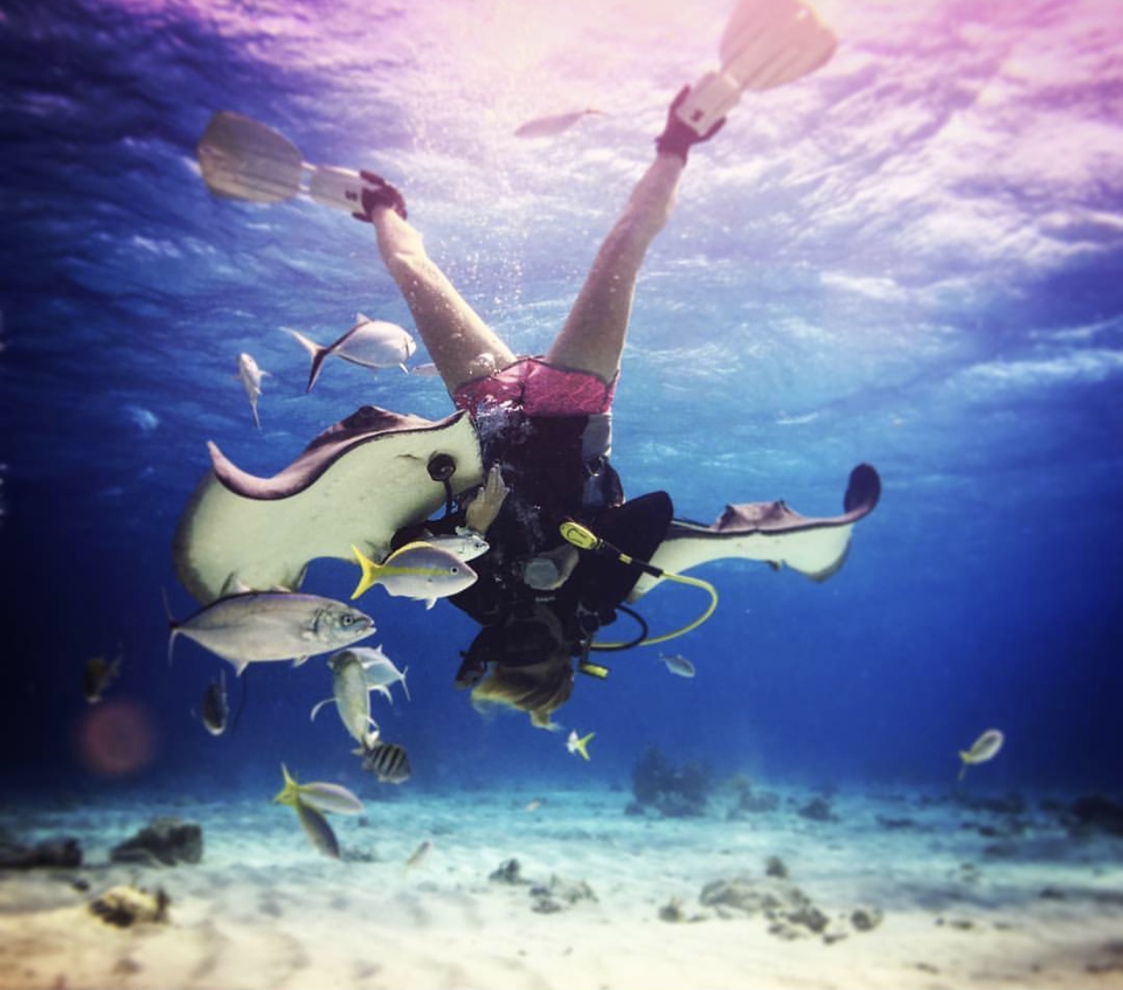 From Diver to Developer